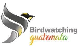 Birdwatching Guatemala Logo
