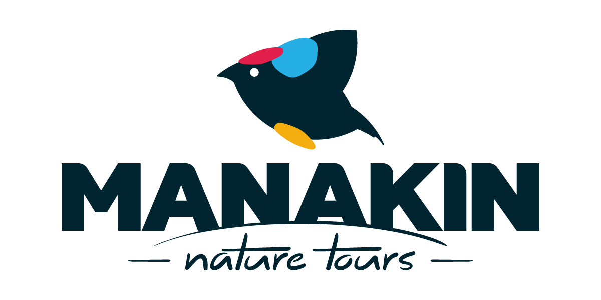 Manakin Nature Tours