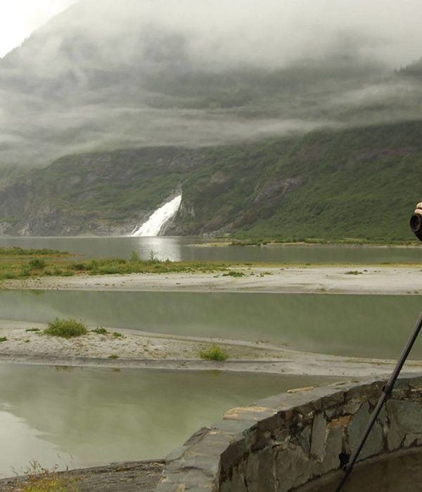 Paradise Birding
