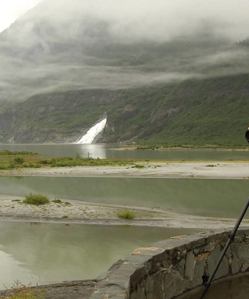 Paradise Birding