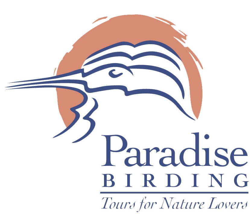 Paradise Birding