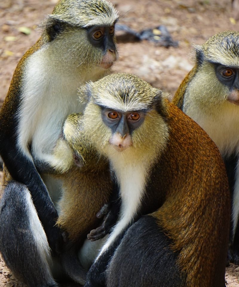 Sunseekers Tours