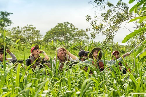 Travelling to the Peruvian Amazon When is the best moment to go?