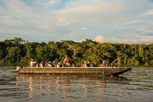 Each Amazonian season will bring you unique experiences in the nature of the Peruvian Rainforest.